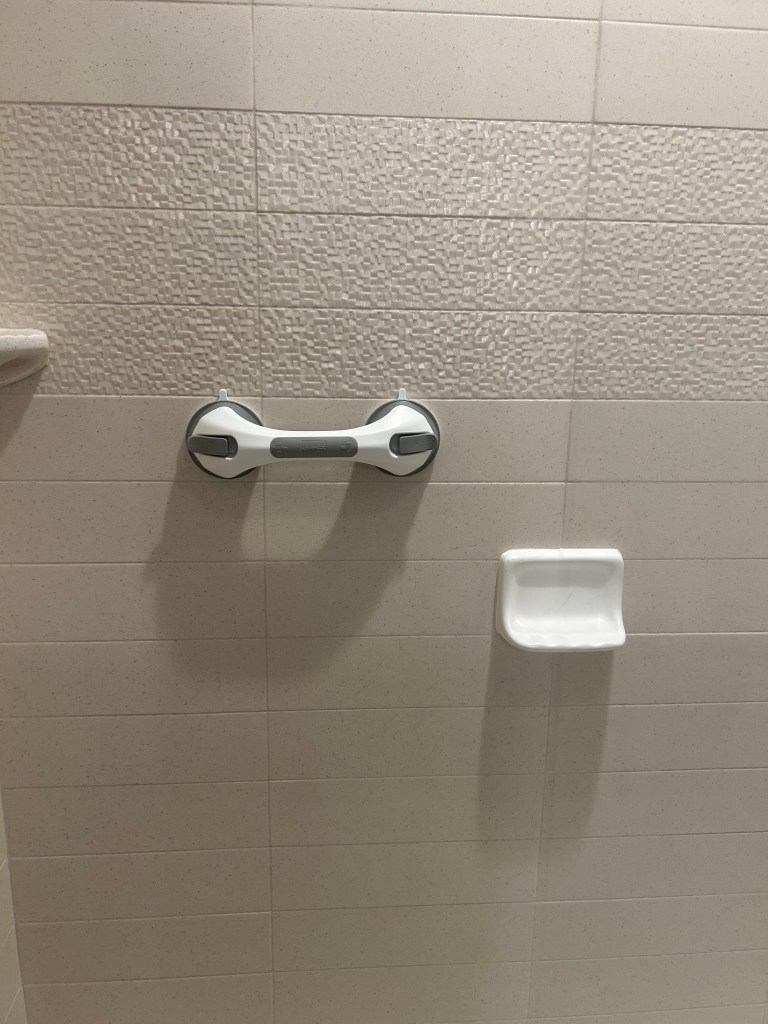 Shower wall with grab bar